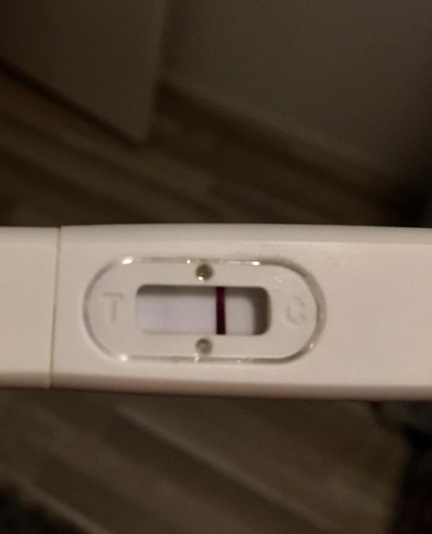 RFSU Test Og Skygger Bare Nysgjerrig Graviditet Spedbarn Og 