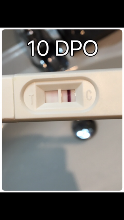 0EFF72CD-39EC-40D5-9509-500FEA0B75CD.png