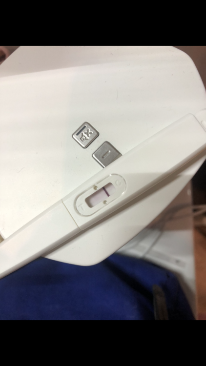 4D53648D-6532-4061-8C42-D754763860BC.png