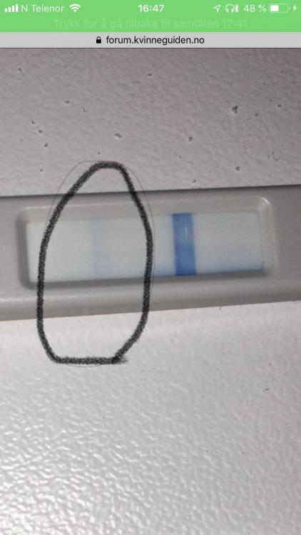 745D0DFA-3C0B-4495-857B-4BE2AAF6559B.jpeg