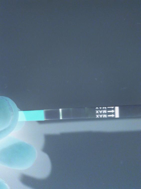 Negative_Image_5b08ac7c-b185-4fdd-9271-5303418c0903.jpg