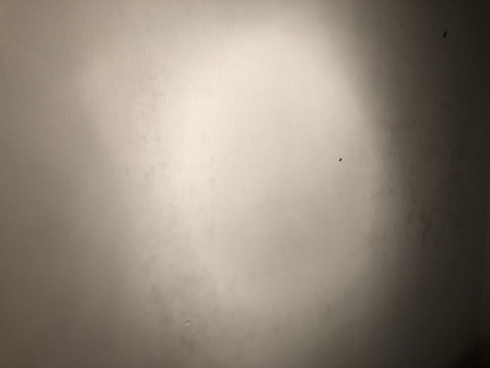 0D771C91-BDD6-4A39-924A-D06CCDC2A0C3.jpeg