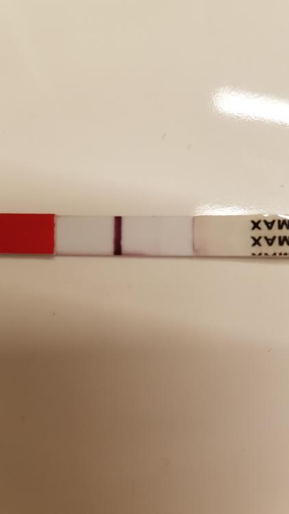 20181223_105705.jpg