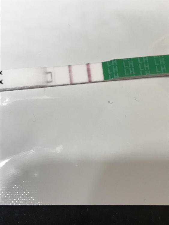 48E2BAF4-064D-4508-A03A-111278C16549.jpeg