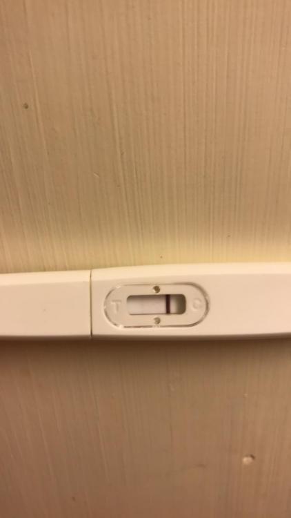 938CFFBD-0F42-42BF-BA40-C419759C6DB7.jpeg