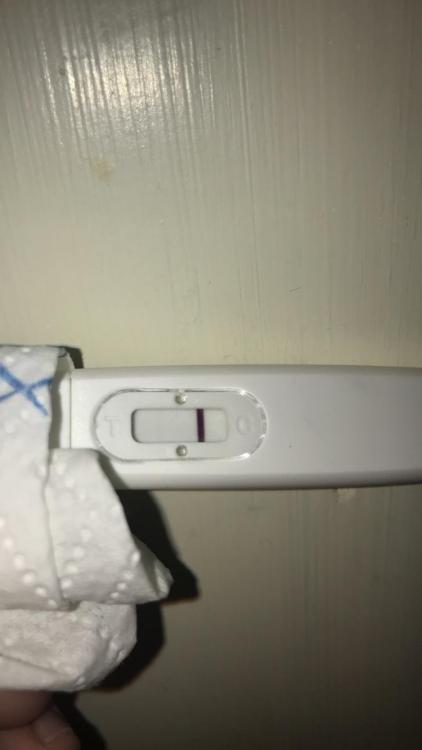 CECC1838-9E7B-407C-A363-B85C07E0DE7F.jpeg