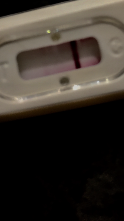 IMG_6646.PNG
