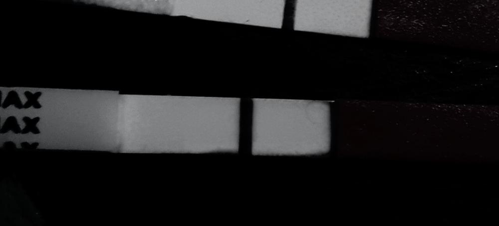 2019-01-04-19-32-53-148.jpg