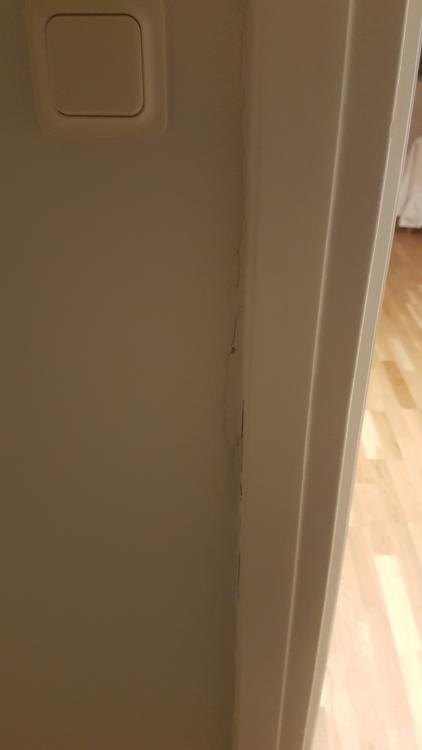 20190111_180345.jpg