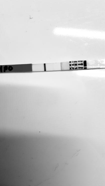 20190120_001312.jpg
