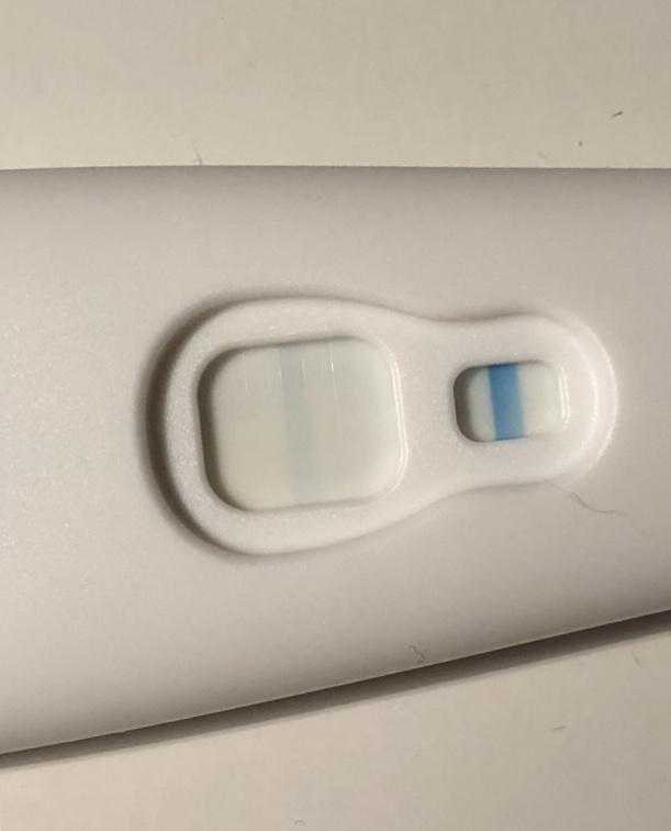 gravid kjønn test questions