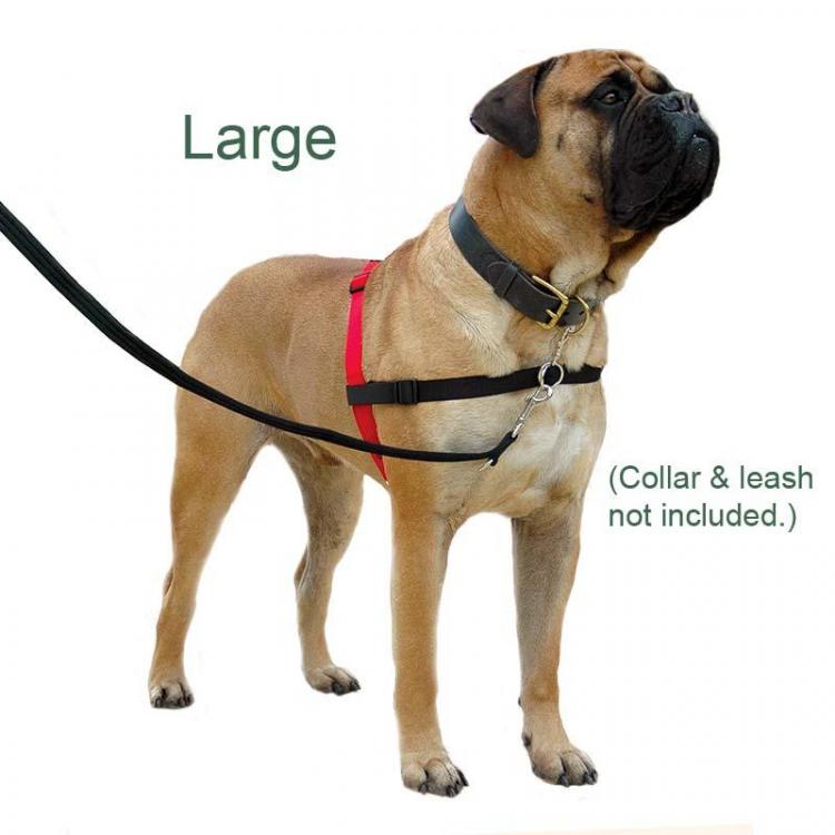 halti-front-attachment-no-pull-harness-2.jpg