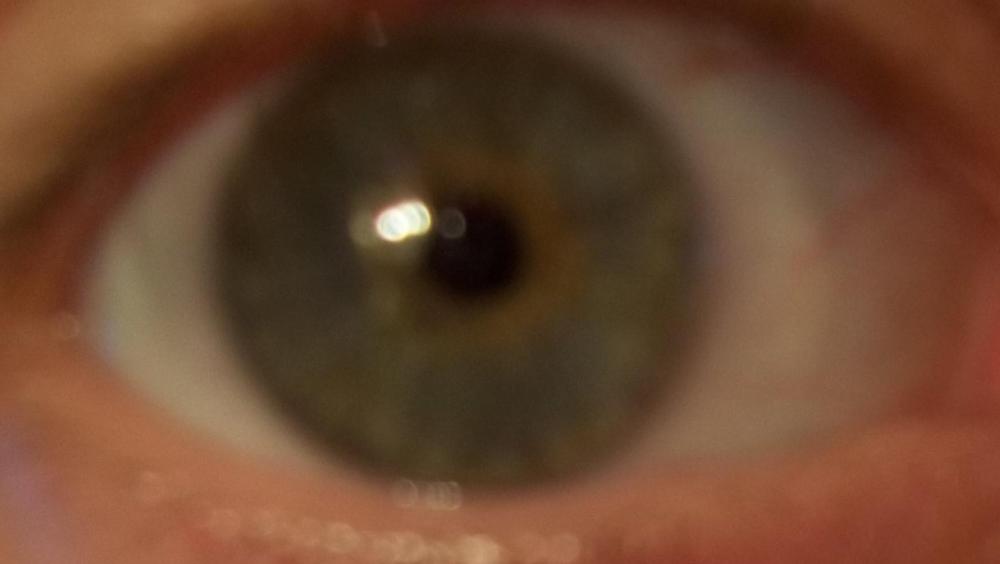 100_4218.jpg