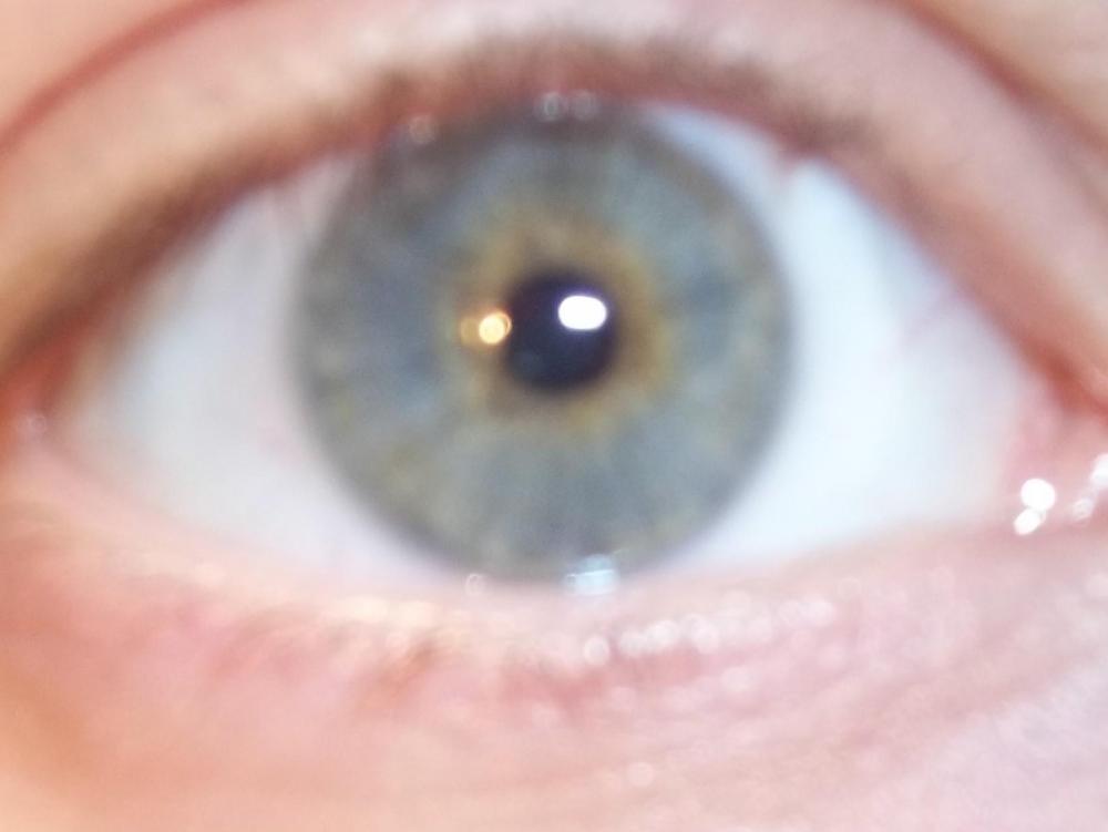 100_4245.jpg