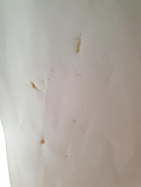 20190205_092146.jpg