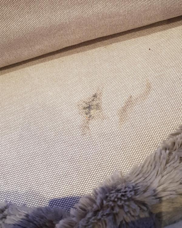 20190211_172417.jpg