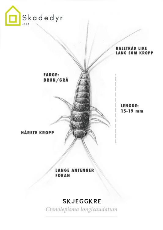 88654BAF-F5AF-4FB5-9AC2-4D9F5665A2E4.png