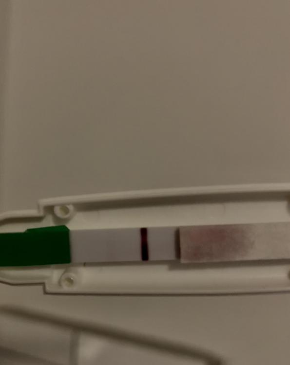 E75A4B23-6719-40CE-9E77-CB057D08016A.jpeg