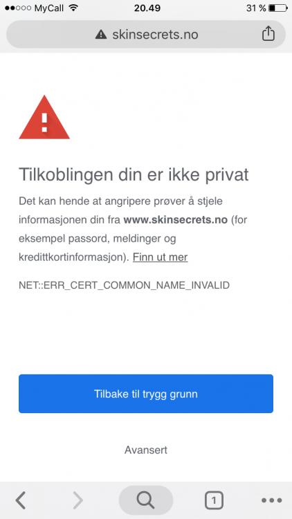IMG_1131.PNG
