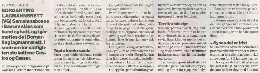 vg katter 1.jpg