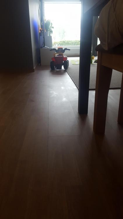 20190303_114457.jpg