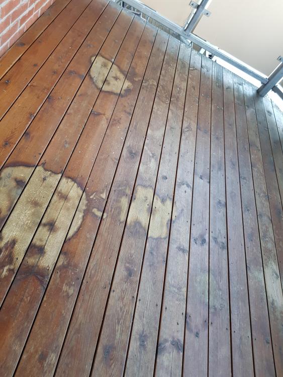 20190320_172313.jpg