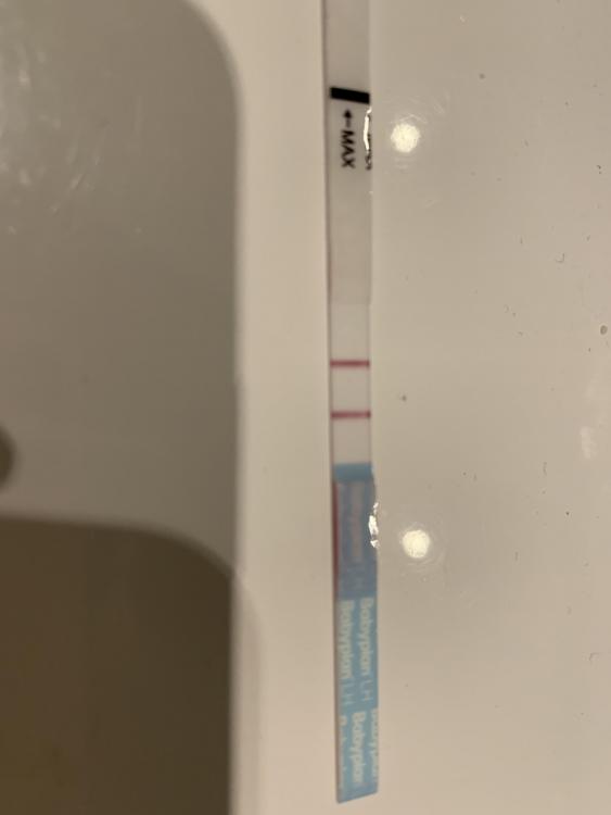 B9835466-E9B5-4050-9FD9-F26F911A3470.thumb.jpeg.221e2d216e6fddd2978acc8429458075.jpeg