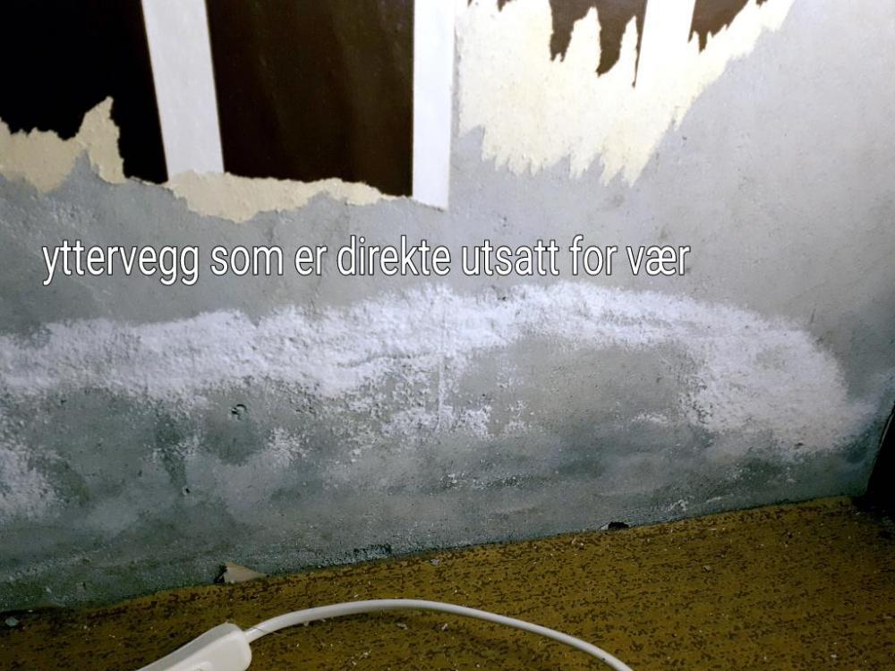 IMG_20190303_120815.thumb.jpg.6d2fc32b065ffe4952fd0e03458b8bd9.jpg