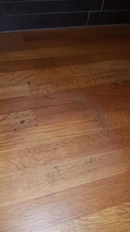 20190416_190226.jpg