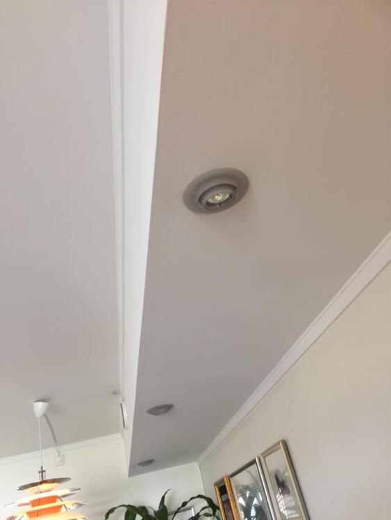 Downlight 1.jpg