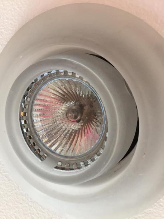 Downlight 3.jpg