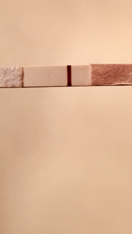 C24C27F3-92AB-4957-A057-CC50974638DC.png