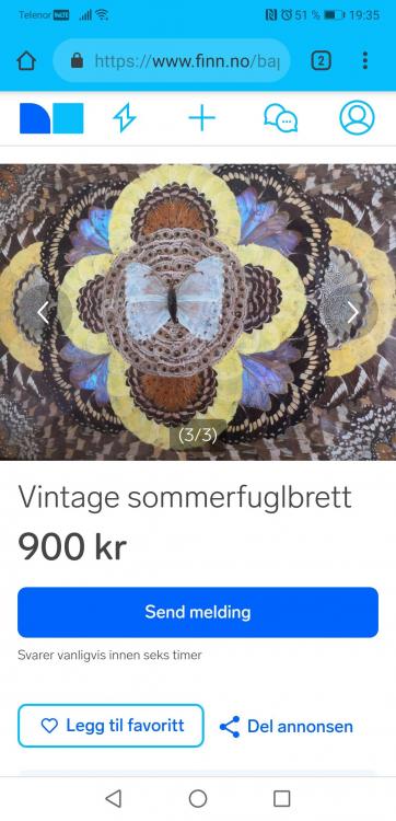 Screenshot_20190415_193500_com.android.chrome.jpg