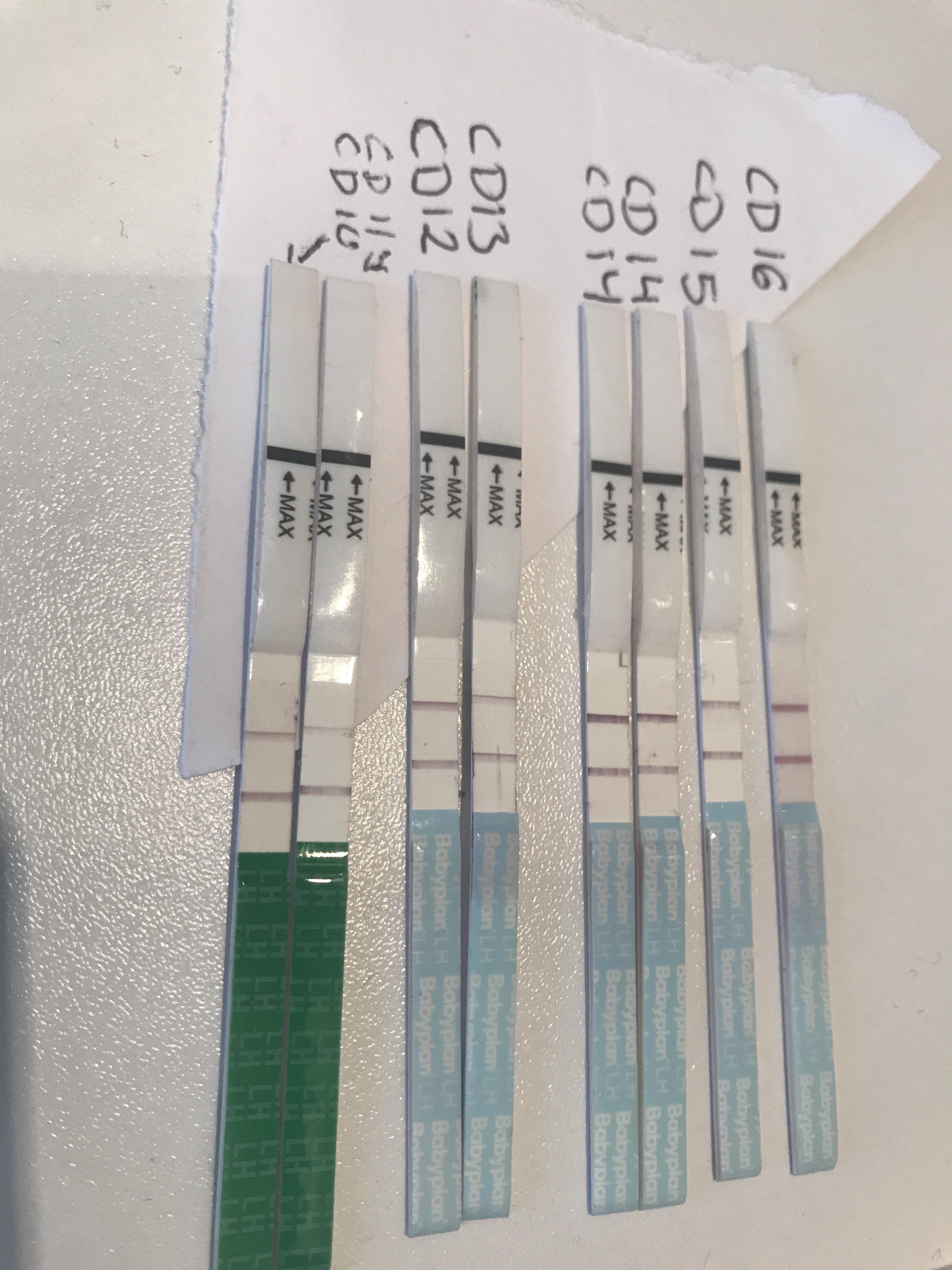 Positiv eggløsningstest 3 dager på rad