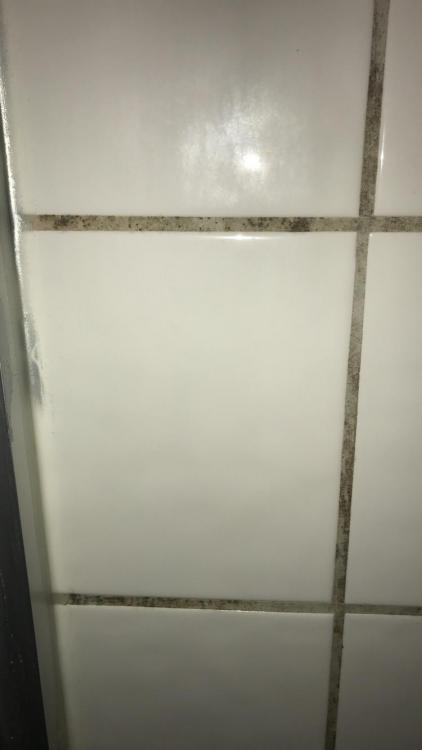 15916266-C9FE-4D55-90B1-8586AF818CBE.thumb.jpeg.ab309db9e3e2dec3a94a29ecc91df462.jpeg