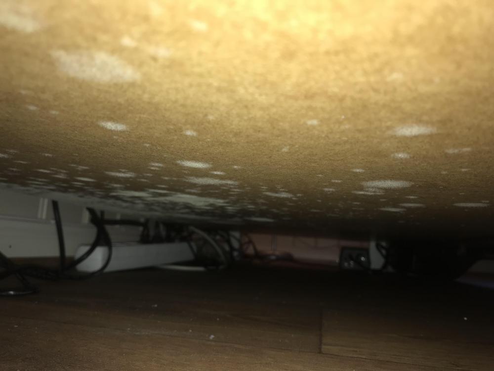 235AF337-9EF4-4697-9B43-A2D6117B8457.thumb.jpeg.7b81282b0532766950e1eb502d1ca7b0.jpeg