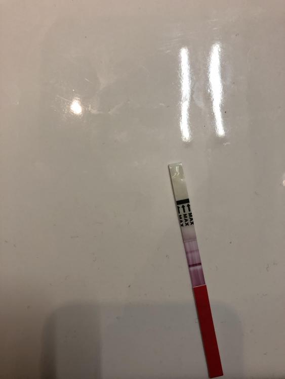 D348B5C9-33EC-4810-AD6D-447C06320D05.jpeg