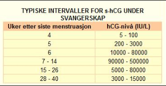 Hcg I Uke 6 Alt Hap Ute Graviditet Spedbarn Og Babytiden