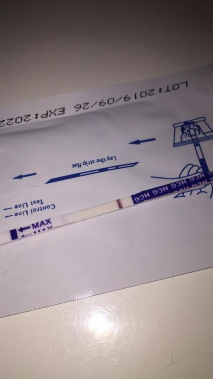 81F6BDC7-2957-4678-BFB1-06F39910D801.thumb.jpeg.366d5134624b79016c3ab0fc70491b1c.jpeg