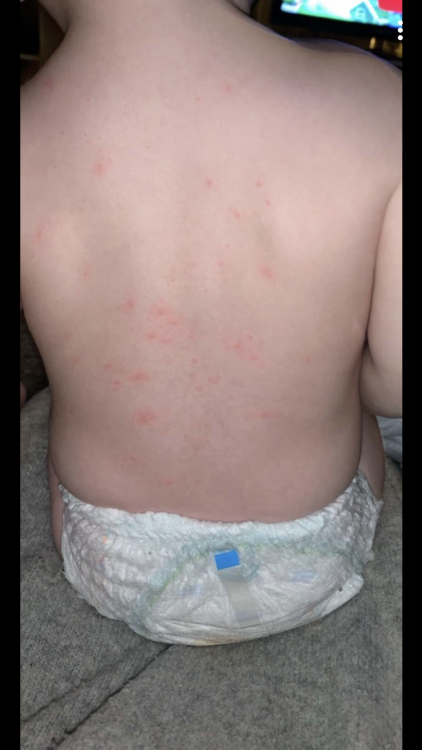 591FEF94-FEDE-4EDD-9725-81C432F883C6.thumb.png.60c91c96e19a62d2b9a24b6a7219f82c.png