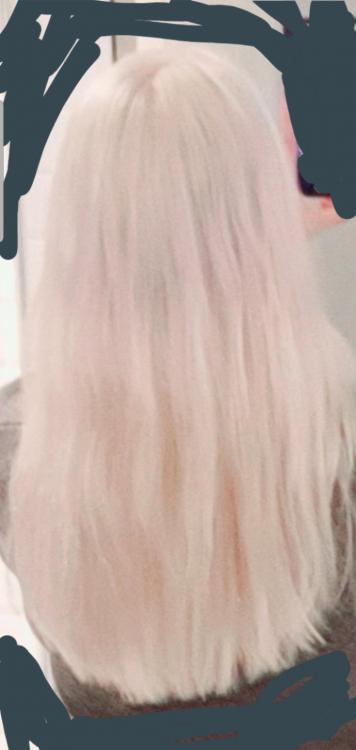 Screenshot_20191211-003924_Gallery.thumb.jpg.a2a0db7846b07ac2af03055b625f2ead.jpg