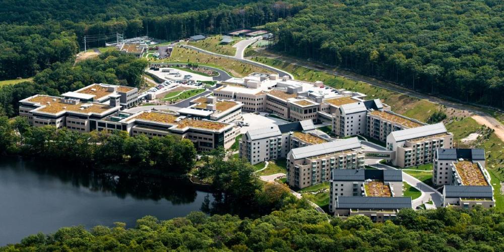 502017516_univ_gal_1_xl.thumb.jpg.b23e19f840ce8af0e6d29565b6c1896d.jpg