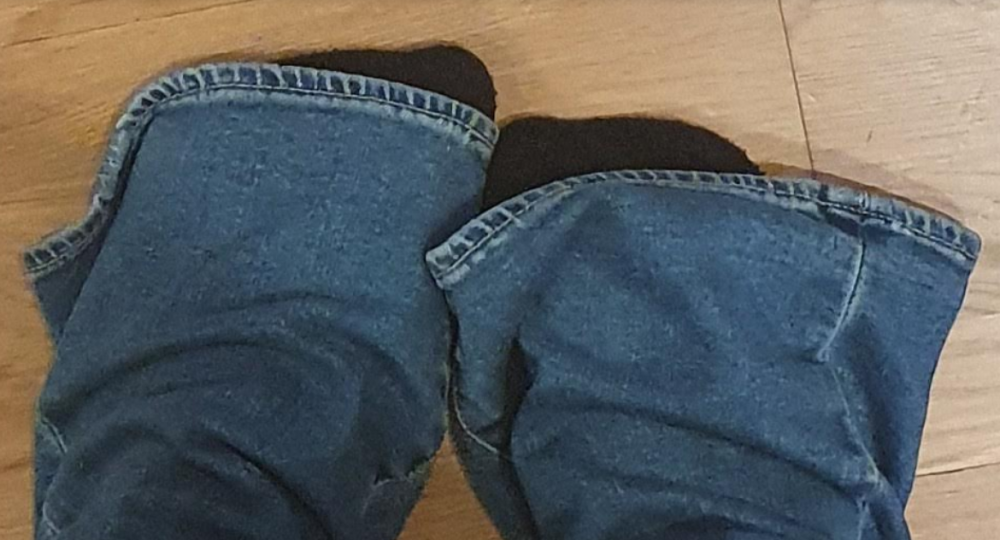 image.thumb.png.4bc2420c8dec0fe7040c9a46be94bd47.png