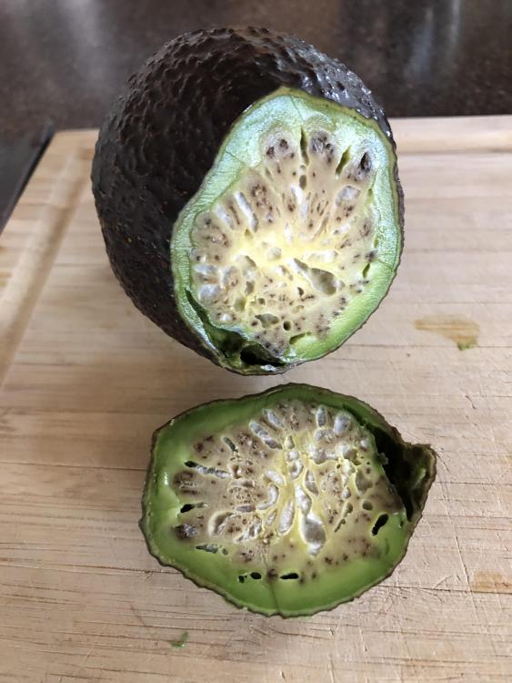 rwnakungnut11.thumb.jpg.80951d19e8882d6c0902cc46230264fb.jpg