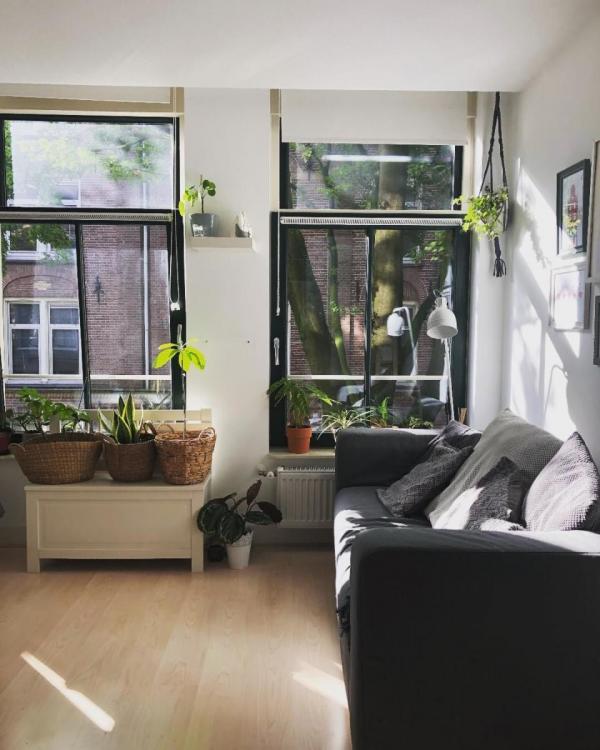 Interior-dutch-house-with-plants.jpg