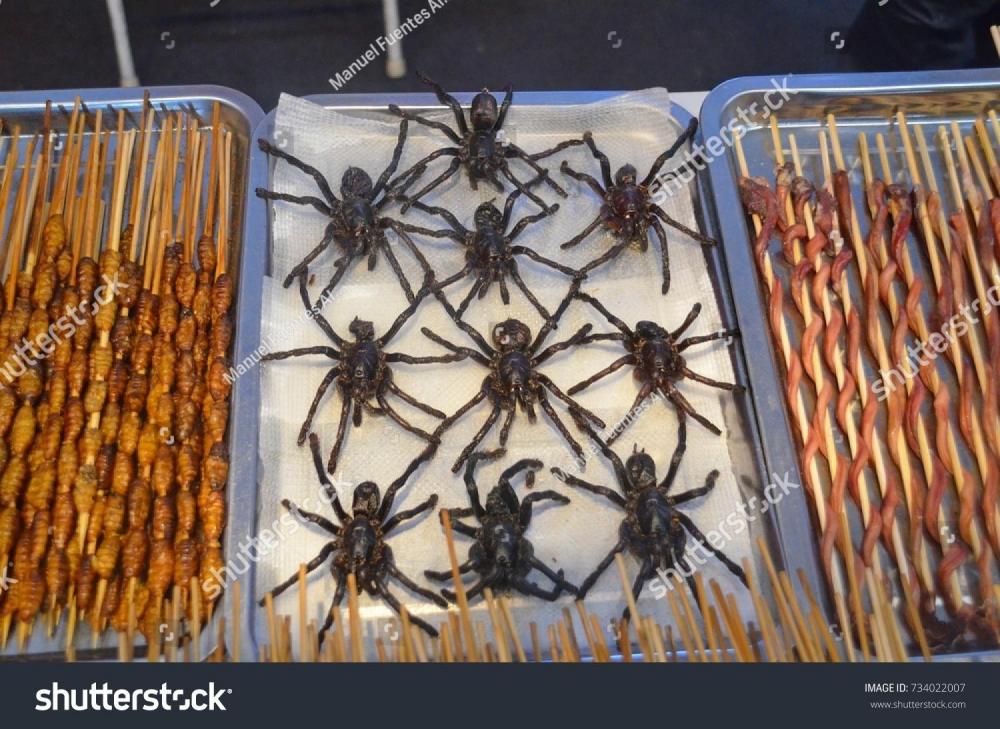bugs.thumb.jpg.a2ea7552d7ad69b8855d7d7be21743a3.jpg