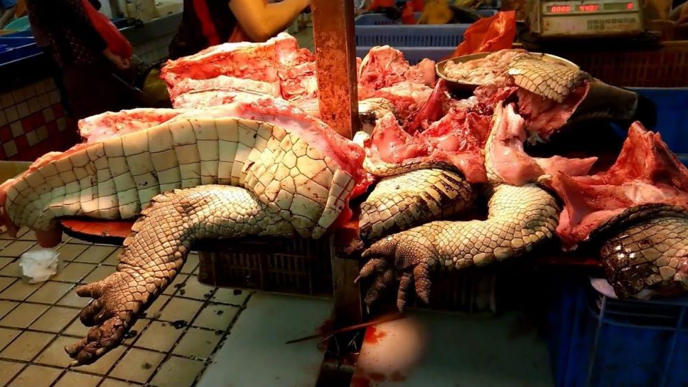 croc.thumb.jpg.31d924279324536f4aee91f19698e722.jpg