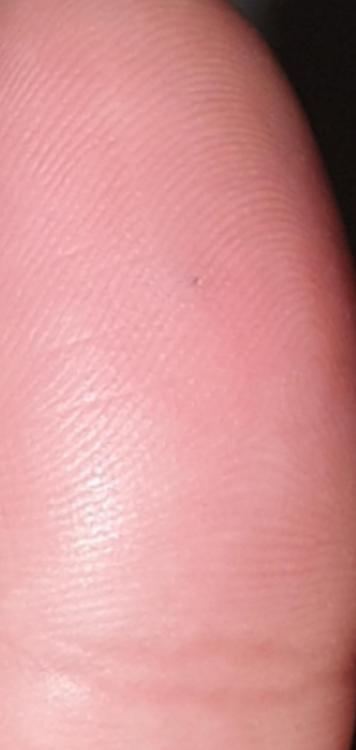 Screenshot_20200402-195009_Gallery.jpg