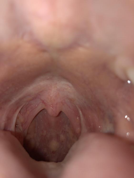 image.thumb.jpeg.08c924619a2a3d4218b9a507b0b79280.jpeg