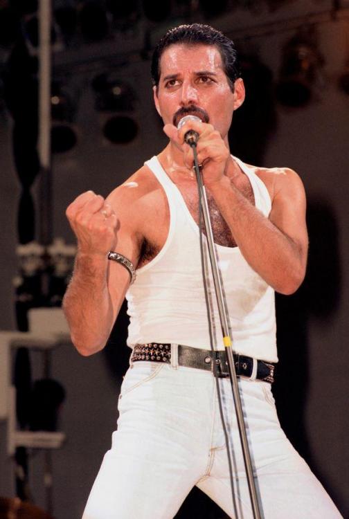 0_Photo-of-Freddie-MERCURY-and-LIVE-AID-and-QUEEN.thumb.jpg.cc26ce596826e400348bd4dd688a47ed.jpg